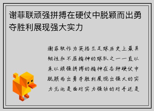 谢菲联顽强拼搏在硬仗中脱颖而出勇夺胜利展现强大实力