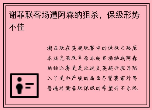 谢菲联客场遭阿森纳狙杀，保级形势不佳