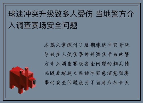 球迷冲突升级致多人受伤 当地警方介入调查赛场安全问题